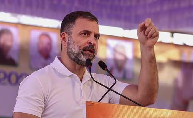 Rahul meets Youth Cong workers arrested for 'shirtless protest' at AI meet, calls them 'babbar sher'